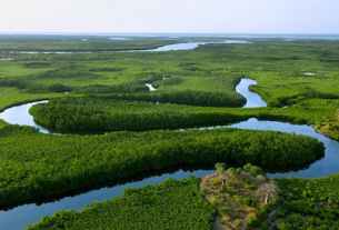 Le Delta du Saloum